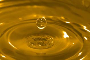 biennial olive oil