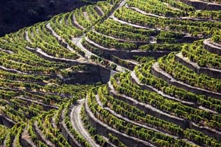 douro valley